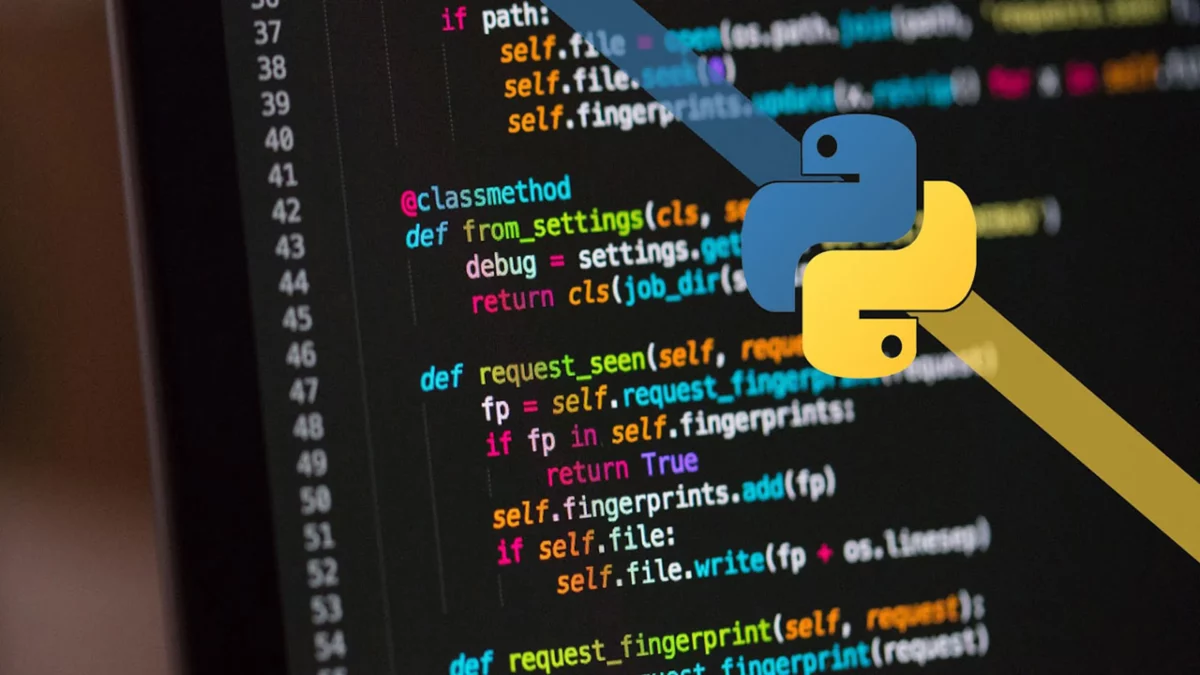 python empleo